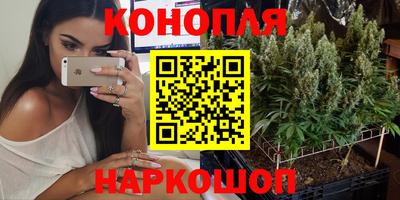 дурь Славгород