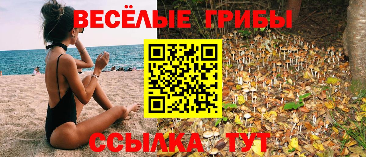 Самара  Псилоцибиновые грибы MAGIC MUSHROOMS  Вход с VPN  Псилоцибиновые грибы ЛСД 