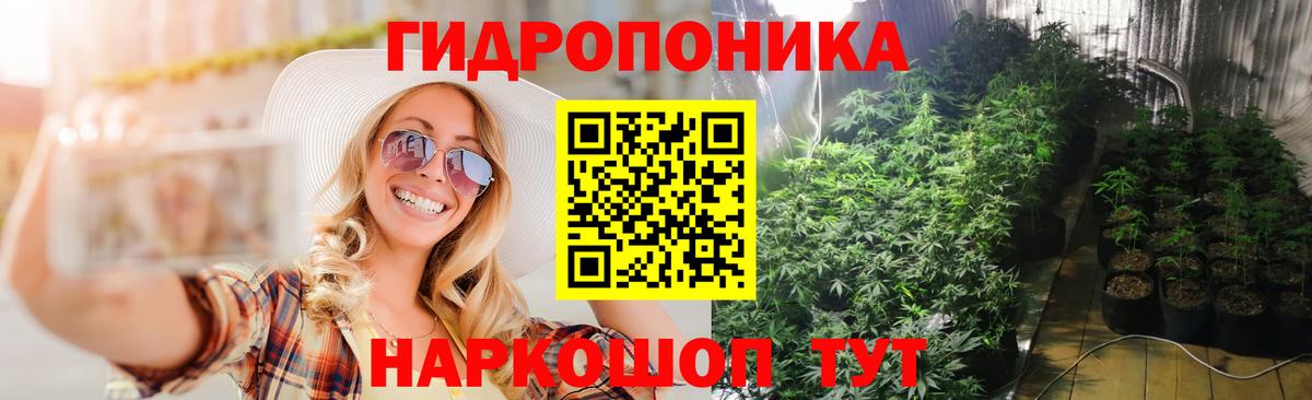 Каннабис сатива  Бошки Шишки марихуана  Конопля тримм  Вход с VPN  Каннабис индика  Самара 